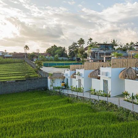 Kokomo Villas By Aayan Canggu Exteriér fotografie